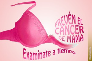 Cancer-de-mama-www1