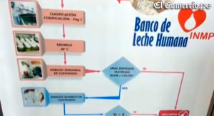 lechehumana