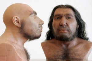 neandertal_11-web